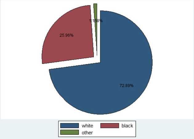 Pie chart over race distribution
